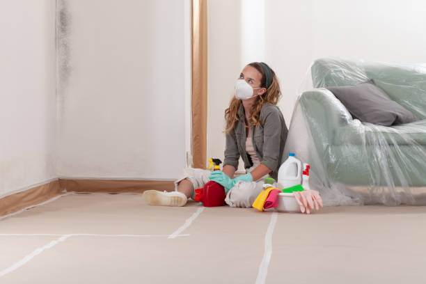 Reliable Black Mold Removal contractor in Yacolt, WA by WQB Mold Removal